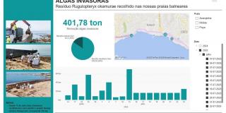 Dashboard Algas Invasoras.jpg