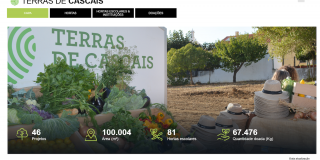 Dashboard Hortas vingas e pomares.png