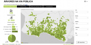 Miniatura_Árvores_na_Via_Pública.png
