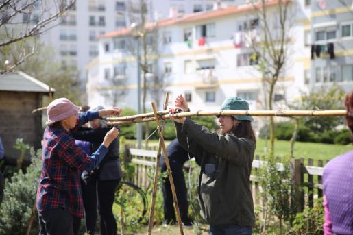 Hortas comunitárias 3
